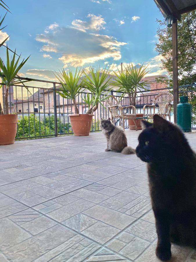 Holiday home La Terrazza Sapri
